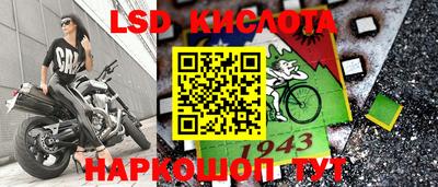 стаф Краснодар