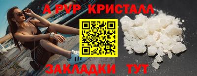 стаф Краснодар