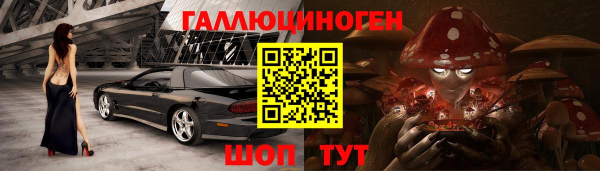 Псилоцибиновые грибы мицелий Владимир