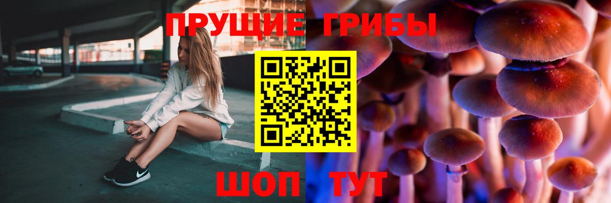 Псилоцибиновые грибы прущие грибы  Вход с VPN  Владимир 